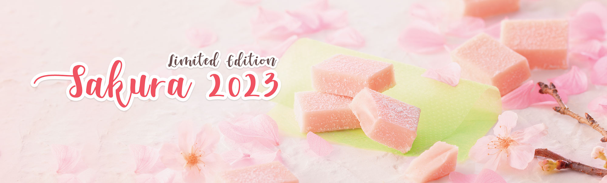 Sakura Festival 2023