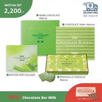 Matcha Set - Free Chocolate Bar [Milk]